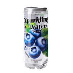 PACK AGUA SABORIZADA XPARKLING ARANDANO 24X350 CC