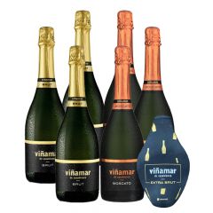PACK ESPUMANTE VIÑA MAR 750 CC:3 U.BRUT+3 U.MOSCATO+MANTA ENFRIADORA