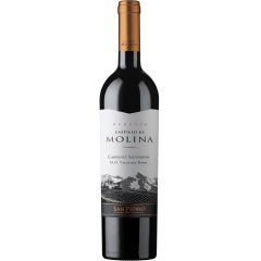 SAN PEDRO CASTILLO DE MOLINA CABERNET SAUVIGNON 750 cc. 14.5°